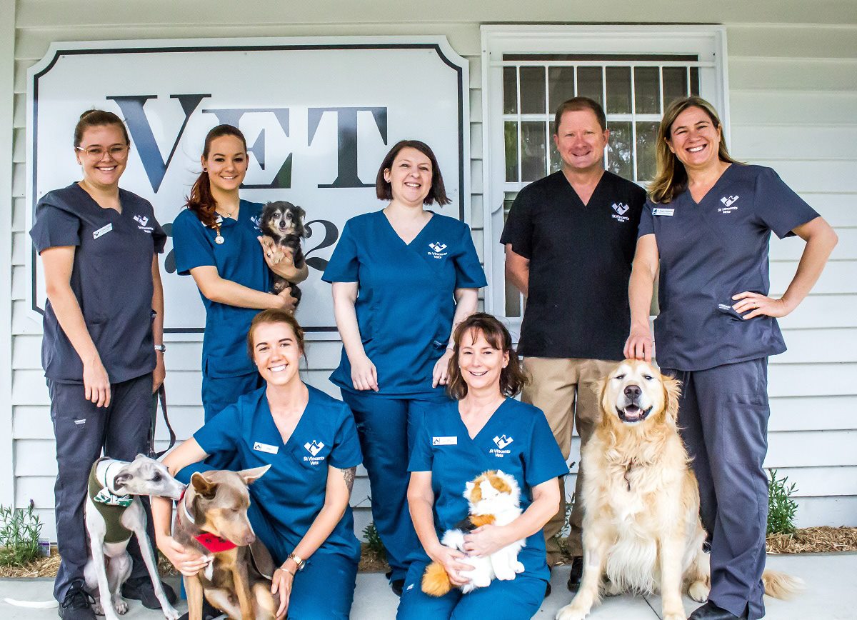 3 color palettes that work for veterinary practice - hospital design hospital design clinic design hospital interior on northgate pet clinic staff